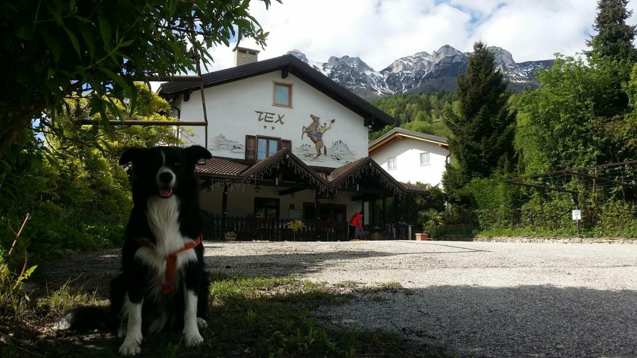 바타로 Botton D'Oro Delle Dolomiti B&B 외부 사진